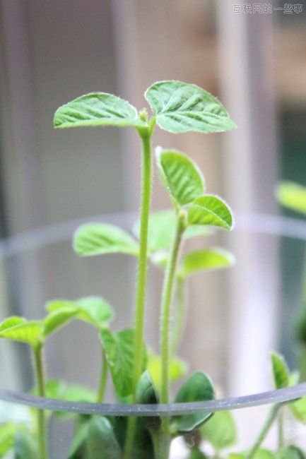 盘点：当今时代的7种创新方式,互联网的一些事