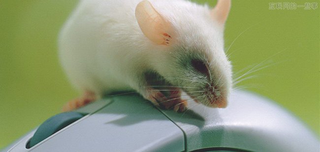 软件应不应该升级到最新版？,互联网的一些事