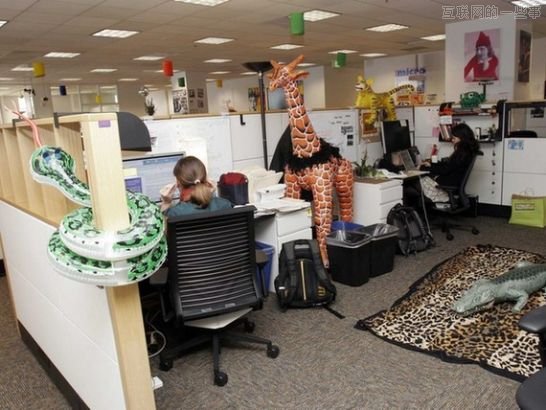 谷歌全球各地的疯狂办公室，你想在这样的环境下工作么？,互联网的一些事