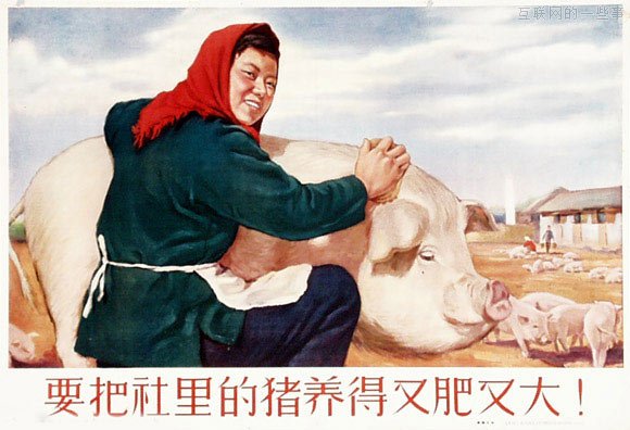 快刀青衣：一个流氓眼中的物联网,互联网的一些事