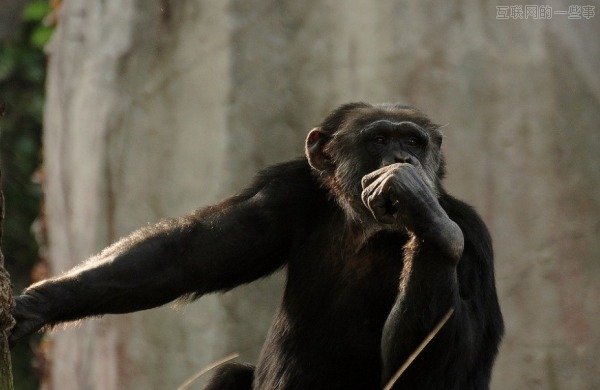 产品经理的十大顶级错误,互联网的一些事