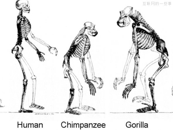 谷歌的十大惊人事实,互联网的一些事