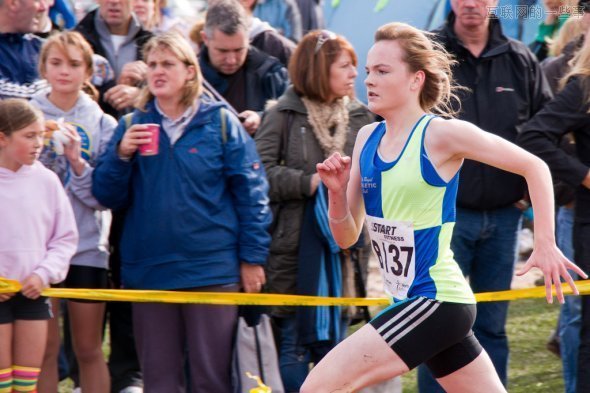 谷歌的十大惊人事实,互联网的一些事