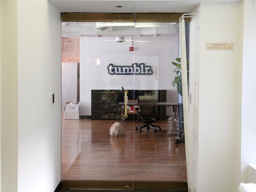 办公环境曝光：Tumblr 的办公室的照片,互联网的一些事