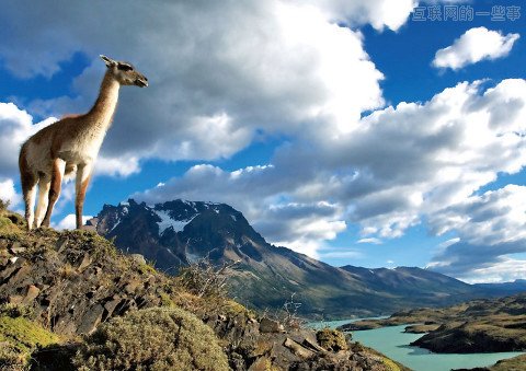 如果你足够优秀，勇敢的向用户收费吧！,互联网的一些事