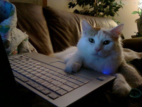 网络成瘾的10个特征,互联网的一些事