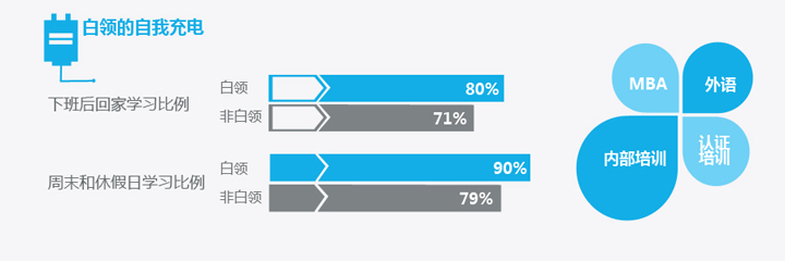 《白领网民系列调查》报告分享,互联网的一些事