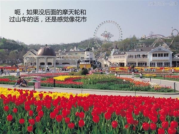 【多图】来见识“三星共和国”的另一面,互联网的一些事