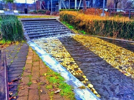 谷歌靠啥赢得市场？与用户产生共鸣才是王道,互联网的一些事