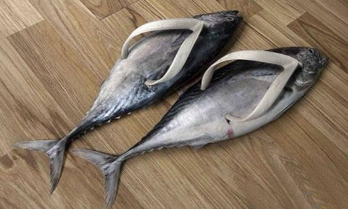 做产品还是做咸鱼？,互联网的一些事