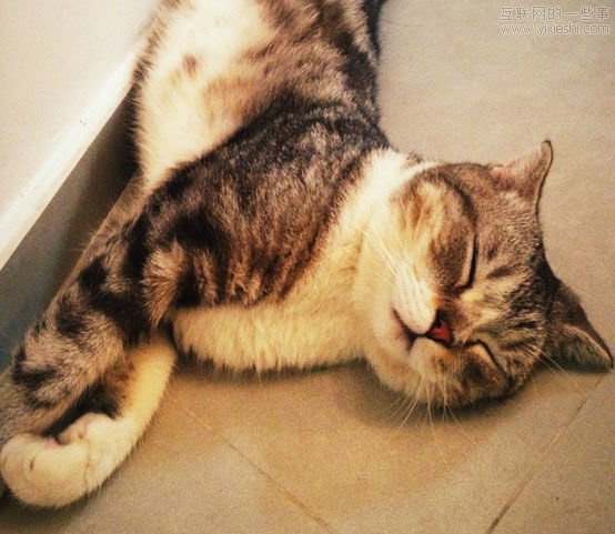 【读懂用户】用户的七宗“罪”,互联网的一些事