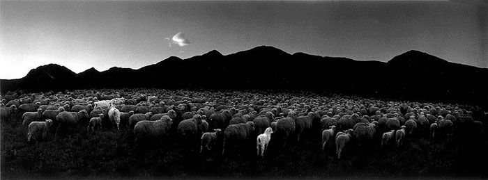 【读懂用户】用户的七宗“罪”,互联网的一些事