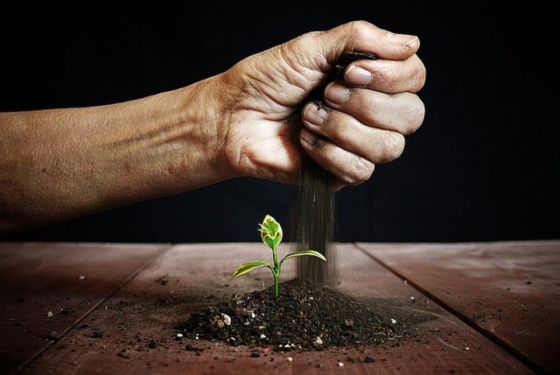 创业公司是否应当采用“免费增值”模式？,互联网的一些事