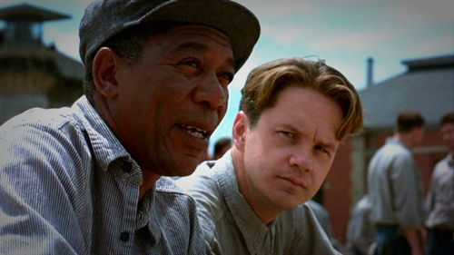 如何将你的新工程师迅速调教成一只老鸟,互联网的一些事