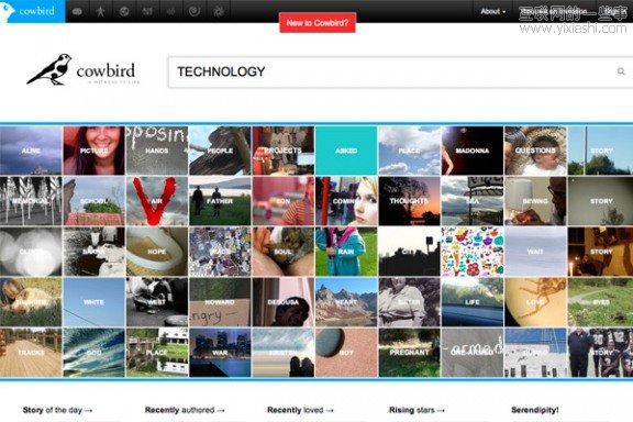让你抄到手软，《时代》杂志评出的50家最具个性的网站,互联网的一些事