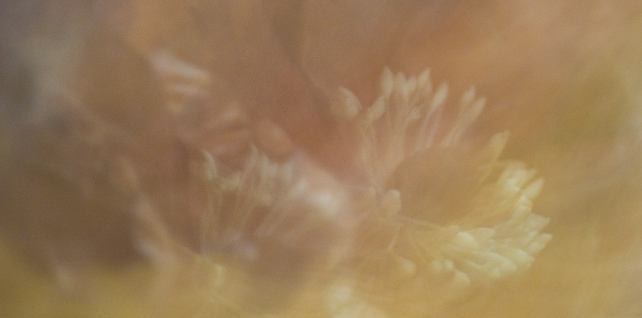 代号“豆瓣聊”：豆瓣的第23种浪漫选择,互联网的一些事