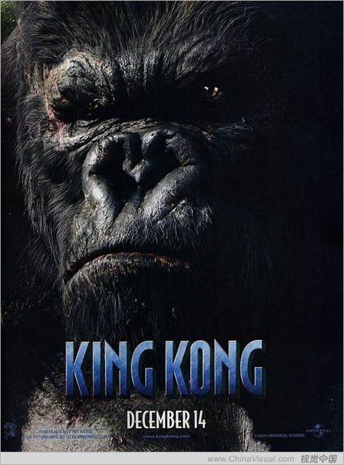 为什么说“半封闭式”的互联网社交环境更适合中国人？,互联网的一些事