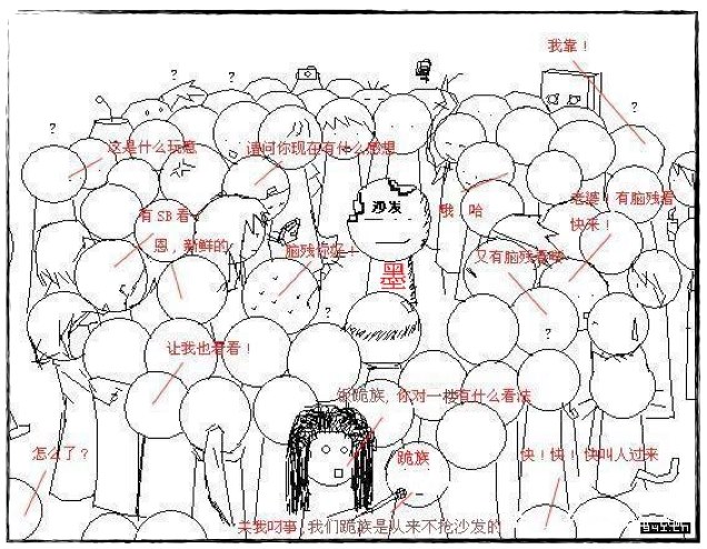 为什么说“半封闭式”的互联网社交环境更适合中国人？,互联网的一些事