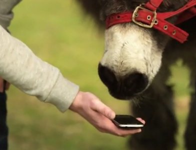 Google科研团队：20大改变生活的研究项目,互联网的一些事