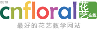 优秀项目推荐：花艺在线、蓝色爱、慧旅网、时客等,互联网的一些事