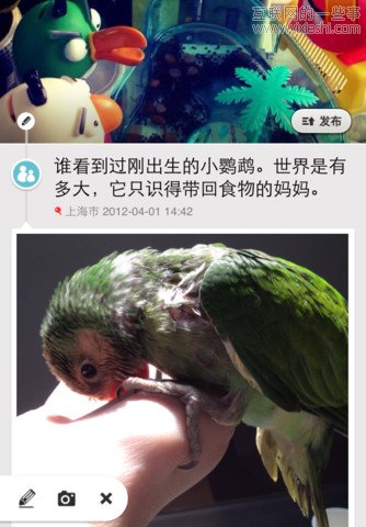 移动应用周刊：足印儿、旅游攻略、AppsKoo、内涵段子等,互联网的一些事