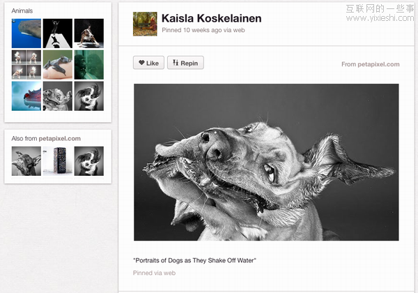 10幅图告诉你Pinterest的魅力所在,互联网的一些事