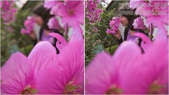 手机拍照的新意思——计算机视觉,互联网的一些事