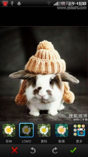 三大微博客户端读图体验横评,互联网的一些事