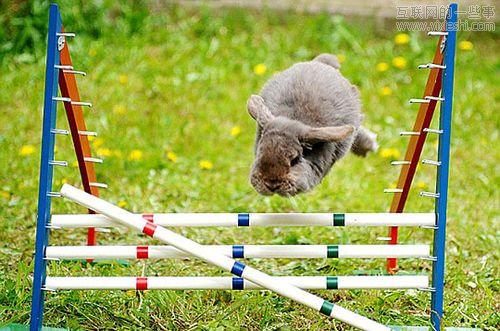 如何将商机转化为创意？,互联网的一些事