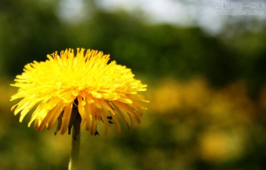 浅谈网页设计中的色彩理论,互联网的一些事