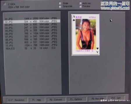 那些曾伴我走过编程之路的工具软件,互联网的一些事