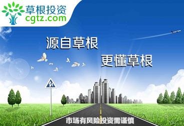 创新型供应链金融领先者“草根投资”