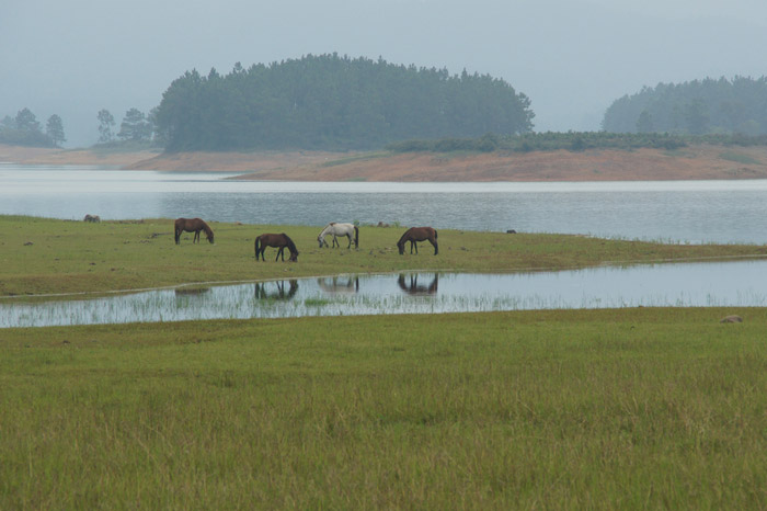 旅游O2O平台——凤凰旅游