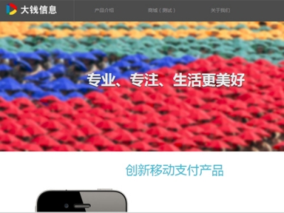 互联网金融支付平台——大钱信息