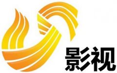 电视剧制作及发行商——山东影视传媒集团