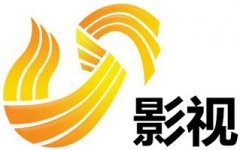 电视剧制作及发行商——山东影视传媒集团