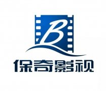 多元化文化产业公司——上海保奇影视文化发展股份有限公司
