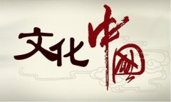 综合性文化产业集团——文化中国传播集团